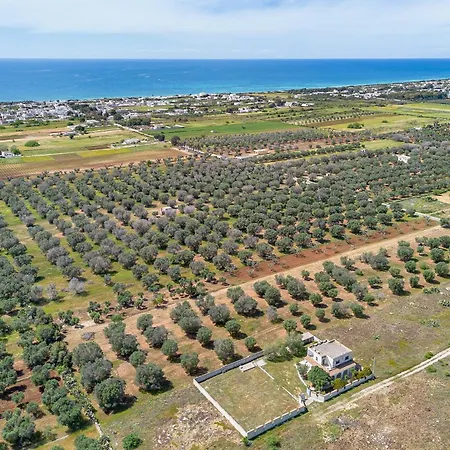 Matta 500m From Sea - Happy *